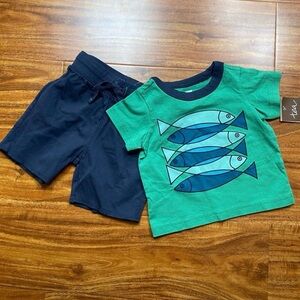 NWT New Tea Collection Navy Green Fish Short Sleeve T-Shirt + Shorts Size 3-6M